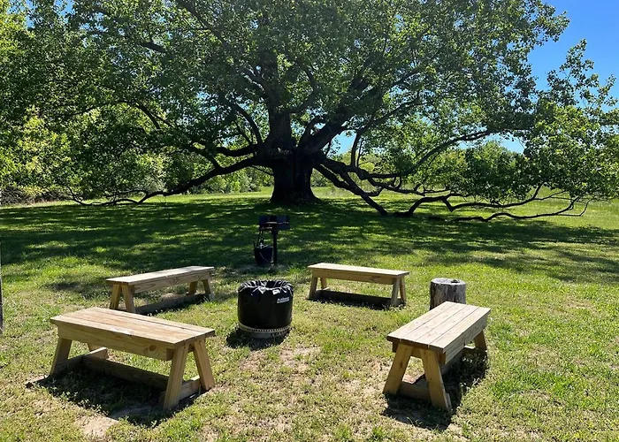 Firepit, Boat Parking & Giant Tulip Poplar Tree *